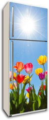 Samolepka na lednici fólie 80 x 200, 31333343 - Tulips in the sun - Tulipány na slunci