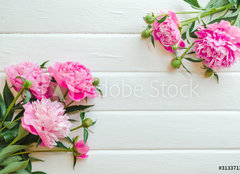 Fototapeta papír 160 x 116, 313371368 - Pink peony flowers on white wooden table. womans day or wedding background. Top view. - Květy růžové pivoňky na bílém dřevěném stole. Zenske den nebo svatební pozadí. Pohled shora.