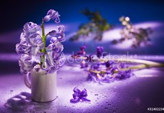 Fototapeta145 x 100  Still life with hyacinth flower in gentle violet colors and magi, 145 x 100 cm
