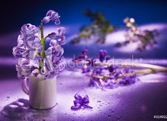 Fototapeta160 x 116  Still life with hyacinth flower in gentle violet colors and magi, 160 x 116 cm