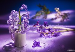 Fototapeta pltno 174 x 120, 31402234 - Still life with hyacinth flower in gentle violet colors and magi