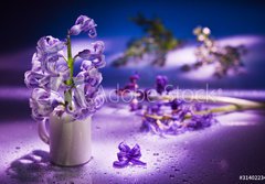 Fototapeta papr 184 x 128, 31402234 - Still life with hyacinth flower in gentle violet colors and magi