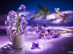 Fototapeta270 x 200  Still life with hyacinth flower in gentle violet colors and magi, 270 x 200 cm