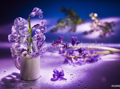 Fototapeta330 x 244  Still life with hyacinth flower in gentle violet colors and magi, 330 x 244 cm