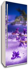 Samolepka na lednici flie 80 x 200, 31402234 - Still life with hyacinth flower in gentle violet colors and magi