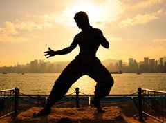 Samolepka flie 270 x 200, 31516850 - Bruce lee in Hong kong