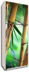 Samolepka na lednici flie 80 x 200, 31531267 - Bamboo forest background