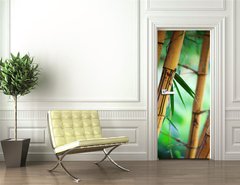 Samolepka na dvee flie 90 x 220, 31531267 - Bamboo forest background