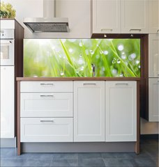 Fototapeta do kuchyn flie 180 x 60  sparkling grass, 180 x 60 cm