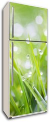 Samolepka na lednici fólie 80 x 200, 31545504 - sparkling grass - šumivá tráva