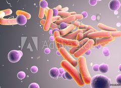 Samolepka flie 100 x 73, 316394282 - Medicine Bacteria and virus Picture