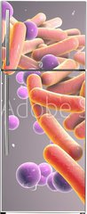 Samolepka na lednici flie 80 x 200, 316394282 - Medicine Bacteria and virus Picture