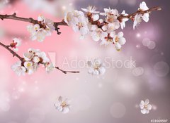 Samolepka flie 100 x 73, 31669597 - Spring Blossom Design - Nvrh jarnho kvtu