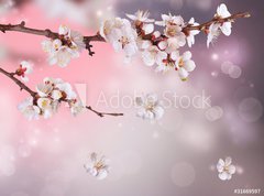 Samolepka flie 270 x 200  Spring Blossom Design, 270 x 200 cm