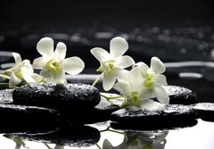 Fototapeta papr 184 x 128, 31674577 - Zen stones and white orchids with reflection