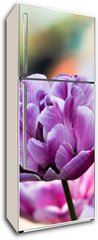 Samolepka na lednici flie 80 x 200, 31786414 - Lila tulpe