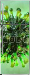 Samolepka na lednici flie 80 x 200, 318368939 - Coronavirus 2019