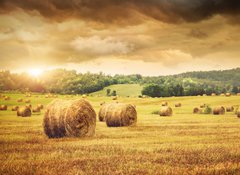 Fototapeta vliesov 100 x 73, 31838189 - Field of freshly bales of hay with beautiful sunset