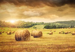 Fototapeta vliesov 145 x 100, 31838189 - Field of freshly bales of hay with beautiful sunset