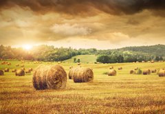 Fototapeta174 x 120  Field of freshly bales of hay with beautiful sunset, 174 x 120 cm