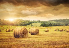 Fototapeta184 x 128  Field of freshly bales of hay with beautiful sunset, 184 x 128 cm
