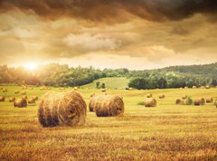 Fototapeta270 x 200  Field of freshly bales of hay with beautiful sunset, 270 x 200 cm