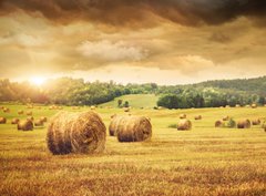 Fototapeta360 x 266  Field of freshly bales of hay with beautiful sunset, 360 x 266 cm