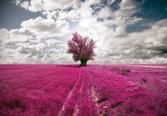 Fototapeta papr 184 x 128, 31846584 - oniric landscape and tree