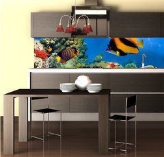 Fototapeta do kuchyn flie 260 x 60, 31880549 - Marine life on the coral reef