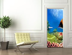 Samolepka na dvee flie 90 x 220  Marine life on the coral reef, 90 x 220 cm