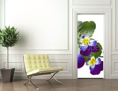 Samolepka na dvee flie 90 x 220, 31960415 - Pansy