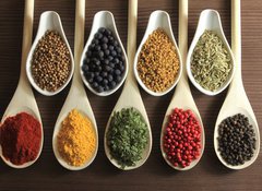 Samolepka flie 100 x 73  Spices and herbs, 100 x 73 cm