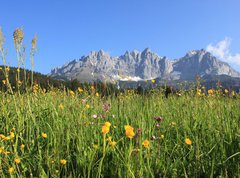 Samolepka flie 270 x 200, 32129331 - Wilder Kaiser 2