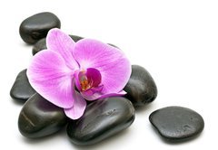 Fototapeta145 x 100  Pink orchid and zen Stones on a white background, 145 x 100 cm