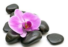 Fototapeta184 x 128  Pink orchid and zen Stones on a white background, 184 x 128 cm