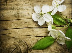 Fototapeta100 x 73  Spring Blossom over wooden background, 100 x 73 cm