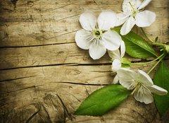 Fototapeta160 x 116  Spring Blossom over wooden background, 160 x 116 cm