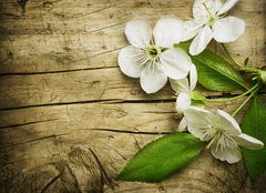 Fototapeta papr 254 x 184, 32219787 - Spring Blossom over wooden background