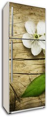 Samolepka na lednici flie 80 x 200, 32219787 - Spring Blossom over wooden background