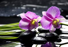 Fototapeta vliesov 145 x 100, 32225654 - Oriental spa with orchid with and green plant on zen stones