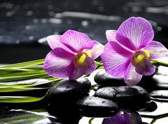 Samolepka flie 270 x 200, 32225654 - Oriental spa with orchid with and green plant on zen stones