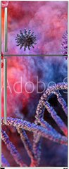 Samolepka na lednici flie 80 x 200, 322420544 - Coronavirus disease COVID