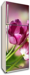 Samolepka na lednici fólie 80 x 200, 32246148 - Flowers. Anniversary Card Design - Květiny. Design výročí