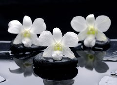 Samolepka flie 100 x 73, 32251402 - Spa Still life with beautiful white orchid on therapy stones