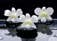 Samolepka flie 200 x 144, 32251402 - Spa Still life with beautiful white orchid on therapy stones