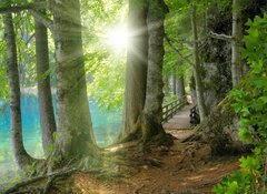 Fototapeta100 x 73  Sonnenschein im Wald neben klarem See, 100 x 73 cm