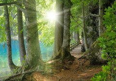 Fototapeta papr 184 x 128, 32267229 - Sonnenschein im Wald neben klarem See - Sonnenschein im Wald neben klarem Podvejte se
