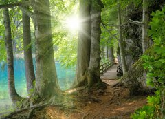 Fototapeta200 x 144  Sonnenschein im Wald neben klarem See, 200 x 144 cm