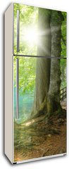 Samolepka na lednici fólie 80 x 200, 32267229 - Sonnenschein im Wald neben klarem See - Sonnenschein im Wald neben klarem Podívejte se