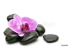 Fototapeta174 x 120  Pink orchid and zen Stones on a white background, 174 x 120 cm
